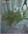 Marcherpluie