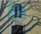 branchshadows