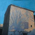wintershadow
