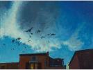 pigeons
