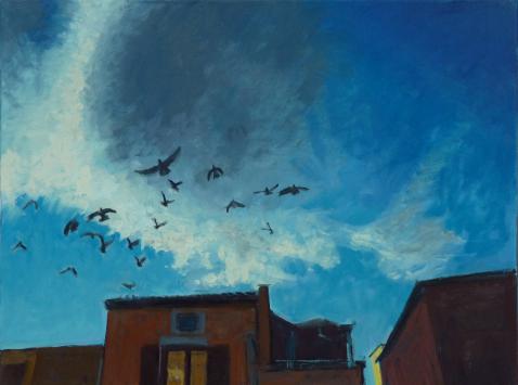 pigeons