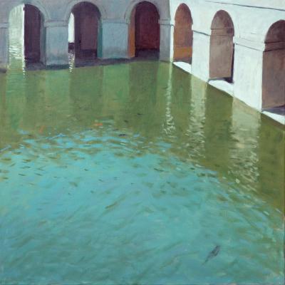 nemausus6