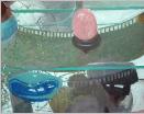 vitrine6