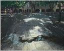 afterrain5