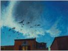 pigeons